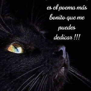 Meet your Posher, Maritza